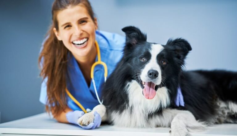 TruCut Biopsies Explained: What Pet Owners Need to Know